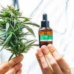 Heavy cannabis use and long-term memory