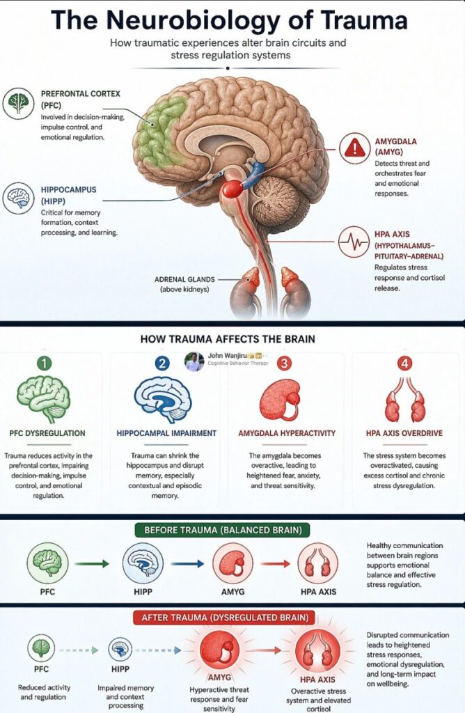 HeadTrauma